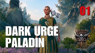 Dark Urge Githyanki Paladin [Difficulty Modded Tactician]: Part 1 - Baldur’s Gate 3