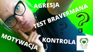 Test Bravermana. Neuroprzekaźniki. Dopamina Adrenalina Glutaminian Acetylocholina Gaba Serotonina