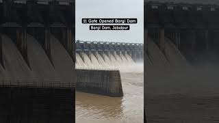 YT-92, 11 Gate Opened Bargi Dam, Jabalpur #shorts #trending #travel #jabalpur #bargidam #dam #vlog