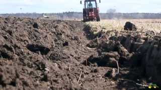 Mtz 82 Ploughing 2013 / orka 2013