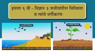 सजीवांतील विविधता व त्यांचे वर्गीकरण | इयत्ता 6 वी | विषय - सामान्य विज्ञान #learn #sdclass #video