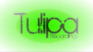 Sap Green (Original Mix) TULIPACOLOR 03 / GREEN