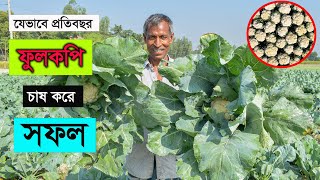 প্রতিবছর ফুলকপি চাষ করে স্বাবলম্বী - Cauliflower Farming in BD - পর্ব ৩৮ - কৃষি বিচিত্র