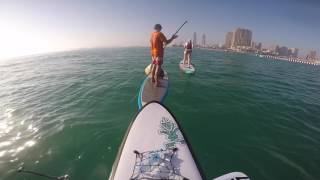 Paddleboarding in Qatar