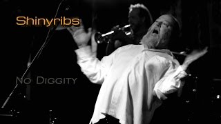 Shinyribs - No Diggity