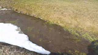 Drainage of hole 15 pond water pt1 - Wanu