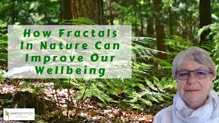 How Fractals In Nature Can Improve Our Wellbeing