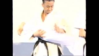 Hapkido KHF basic technique (kibon) Part 3