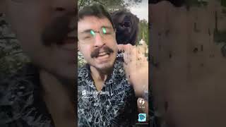 Encontre o Animal Falso Por US$ 10 000 SÉRIO ISSO⁉️👀🧠 684