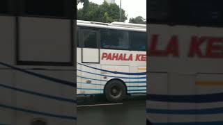 Bis PAHALA KENCANA berangkat menuju denpasar #videoshort #bismaniacommunity #fypyoutube