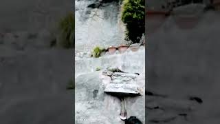 Nehru Kund Manali #shorts