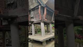 rumah Tongkonan tanduk kerbau terbanyak. #torajapopuler #sukutoraja #wisata