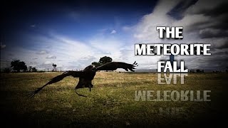 Black kite landing on hand | The meteorite fall | chil training 💯💥