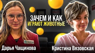 Зачем и как играют животные, мы и окружающий нас мир