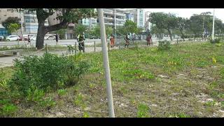 Team work and cleaning the beach at Vitoria, Brazil