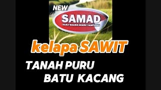 KELAPA SAWIT TANAH PURU BATU KACANG #BERNAS#SAMADPUPUKSAWIT#PUPUKORGANIK