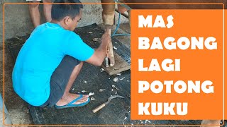 PROSES PEMOTONGAN KUKU SAPI MAS BAGONG YANG MUDAH