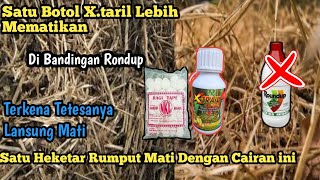 Cukup Modal X.Tril dan Ragi Tape !! Libas Tuntas Rumput Sampai Ke akarnya ngk usah beli Roundup lagi