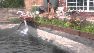 Lincoln, Skellinhorpe, Large pond ( new floating fountain, new filter, uv unit)