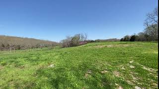 41 Acres in the Ozarks!