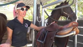 Saddle Brand Review with J-Lo