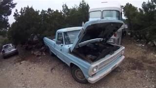 Cold Start - 69' Ford F100