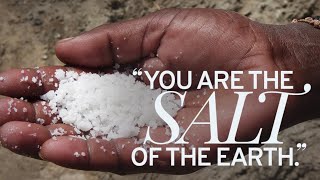 You are the Salt of the Earth - Fr Gerry Campbell