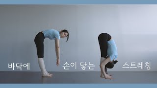 바닥에 손이 닿는 스트레칭 루틴!! _ 허리&햄스트링 스트레칭/유연성/ 전굴/ 종아리 알 없애기/ 유연성 test 극복하기/ 요가 ASMR