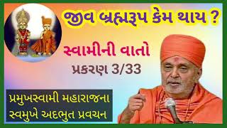 જીવ બ્રહ્મરૂપ કેમ થાય? || પ્રમુખ સ્વામી મહારાજની અમૃતવાણી || સ્વામીની વાતો પ્રકરણ 3/33 ||