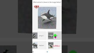 What animal is shown in the image below #hCaptcha #rjahidali1 #2captcha #shorts #viral #shortvideo