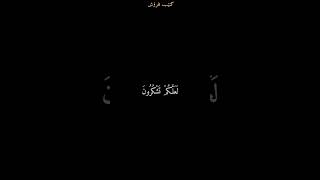 القارئ ريان المحيسني ❤️وَإِذۡ قُلۡتُمۡ یَـٰمُوسَىٰ لَن نُّؤۡمِنَ لَكَ..