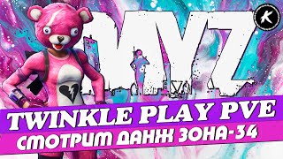 DAYZ ОБЗОР | ПРОЕКТ TWINKLE PLAY PVE #2 | СМОТРИМ ДАНЖ ЗОНА-34, МИССИИ, ЗАЧИСТКИ #dayz