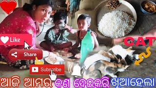 ଆଜି ଆମର କଣ ଦେଇକରି ଖିଆହେଲା?/Bapi lifestyle new vlog