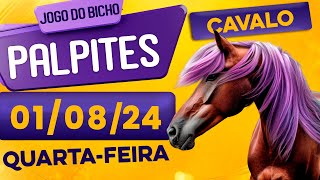 PALPITE DO DIA 01/08/2024 - JOGO DO BICHO 🍀 TODAS AS LOTERIAS 🍀