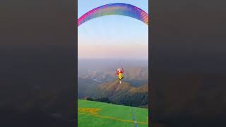 Difference between PARAGLIDING and SKYDIVING 🤔 || #Shorts