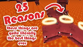 25 Reasons Striders Are The Best Thing Ever (In Minecraft)