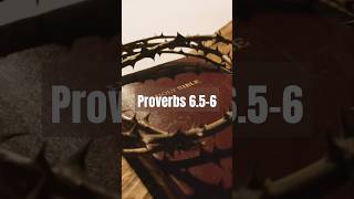 Proverbs 6.5-6