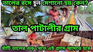 তাল-পাটালীর গ্রাম || তালের রসে চুন কেন দেয়? খেজুরের না  তালের রসে গুড় বেশি হয় ?কিভাবে তাল পাটালী হয়