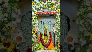 *शुक्रवार  दि.१५/११/ २०२४ #tuljapur #viralvideo #video #youtubeshorts #marathi #videos