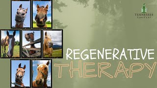 Dr. Monty McInturff discusses Horse Regenerative Therapy