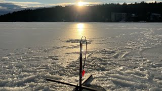 Catching splake through the ice fishing