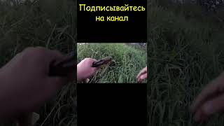 Щука на джиг