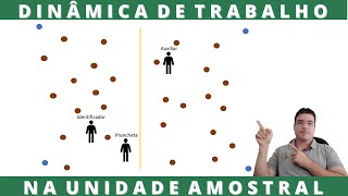 Dinâmica de trabalho na Unidade Amostral.