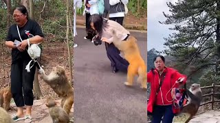 "Monkey Mayhem: 🙈😱" #petlovers