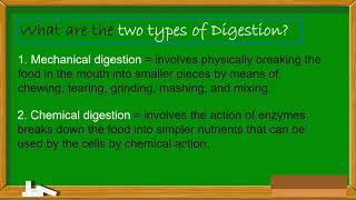 science 6 Fifth lesson digestive system