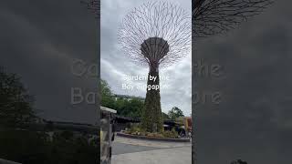 Garden by the bay Singapore china town in Singapore #music #cover #singaporesocial #ilightsingapore