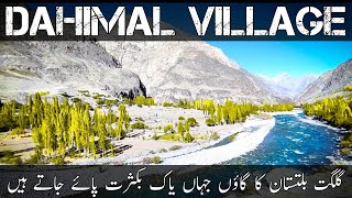 Dahimal Village Ghizar | Ghizar Gilgat Baltistan | Motercycle Tour Pakistan | Travel With HANIF