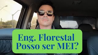 Engenharia Florestal pode ser MEI?