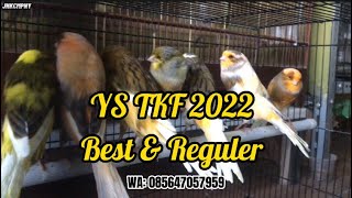 Open Box YS Yorkshire TKF Turky 2022 | Best & Reguler