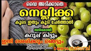 നെല്ലിക്ക ഉണ്ടോ?? ഒന്ന് തൊട്ടാൽ കരിപോലെ /nellikka hair care /poppy vlogs /malayalam